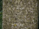 image of grave number 816521